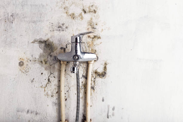 Best Mold Cleaning Services  in Diamond Springs, CA