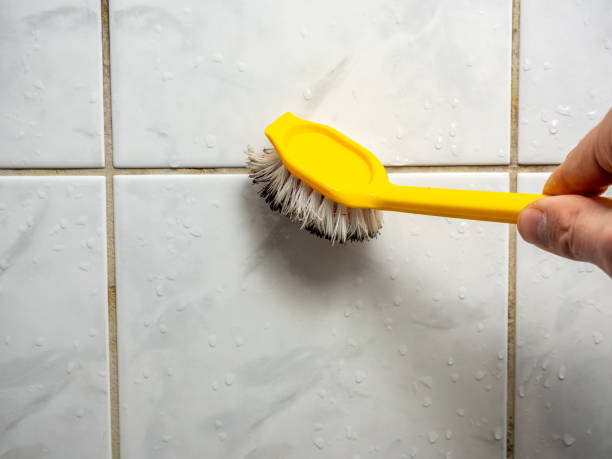Best Office Mold Removal Services  in Diamond Springs, CA
