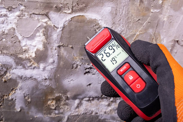 Best Best Mold Removal Companies  in Diamond Springs, CA