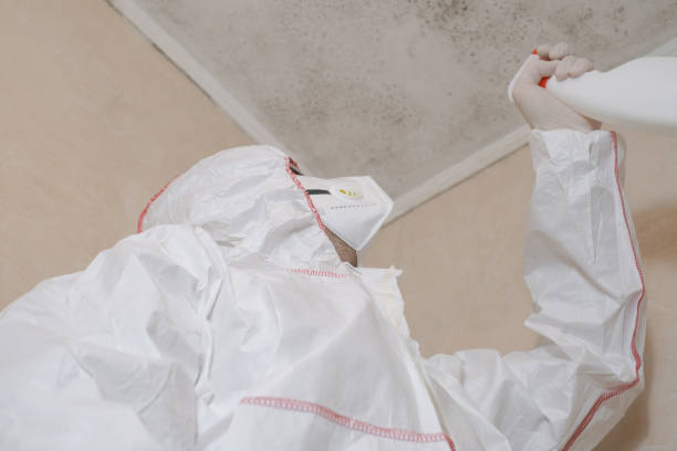 Best Local Mold Removal Service  in Diamond Springs, CA