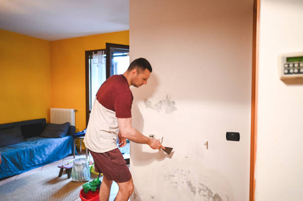 Best Same-Day Mold Removal  in Diamond Springs, CA